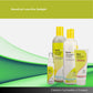 Kit DevaCurl Low-Poo Delight Home Care (4 Produtos)